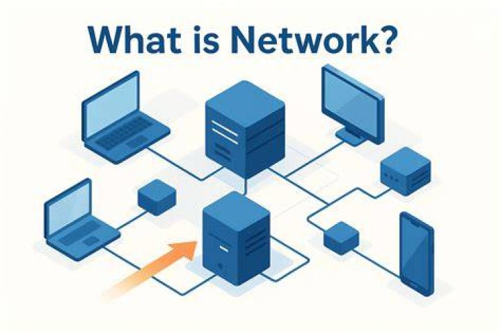 What is Visa Interlink network?