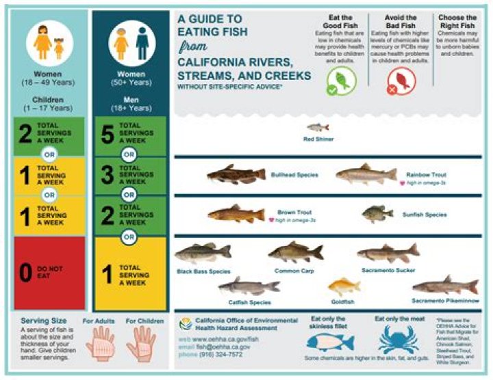 What kind of fish are in the Aucilla River?