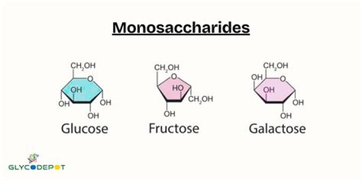 What kind of monosaccharides is glucose?