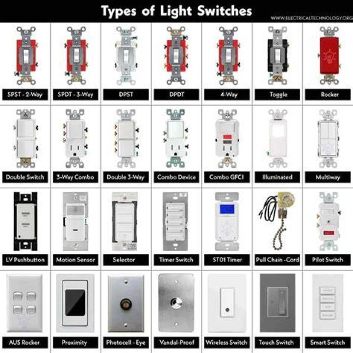 What kind of switches does Carling make?