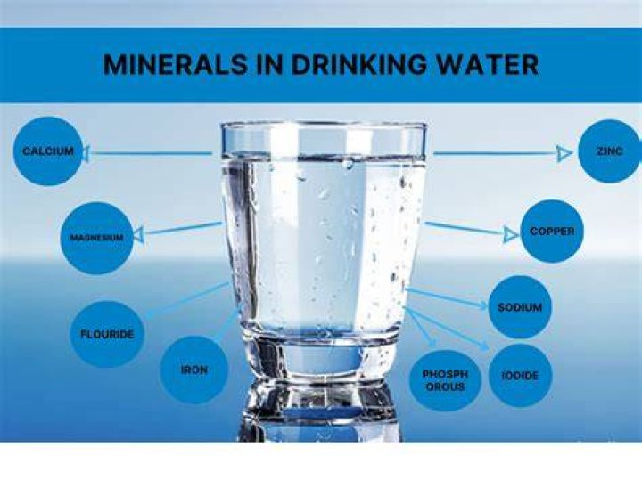 What minerals are found in Florida water?