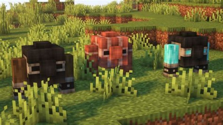 What mods are in crash landing?