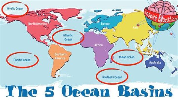 What occupies the largest part of ocean basins?