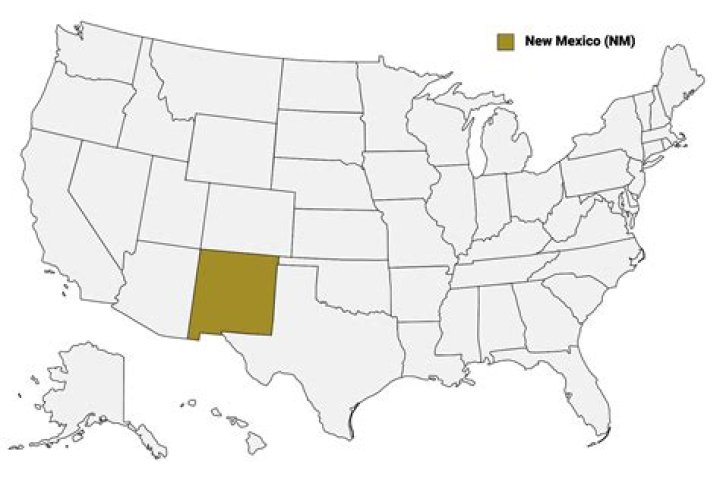 What percentage of New Mexico is Indian?