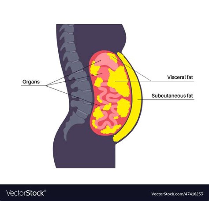 What range should visceral fat be?