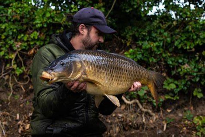 What rod is best for carp fishing?