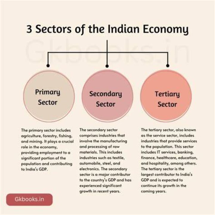 What role does the primary sector play in Indian economy?
