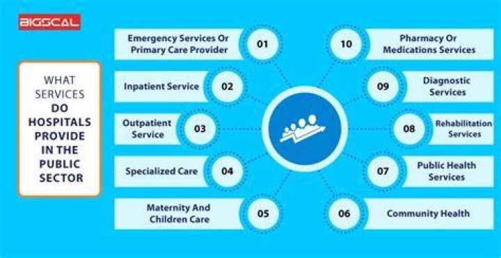 What services does the cancer Society provide?