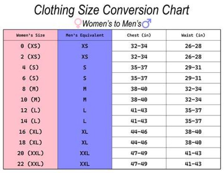 What size is a 36 shirt?