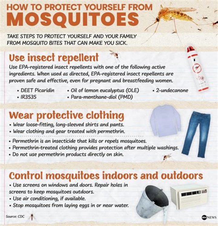 What stops mosquitoes from entering windows?