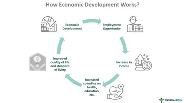 What type of diffusion is economic development through international trade?
