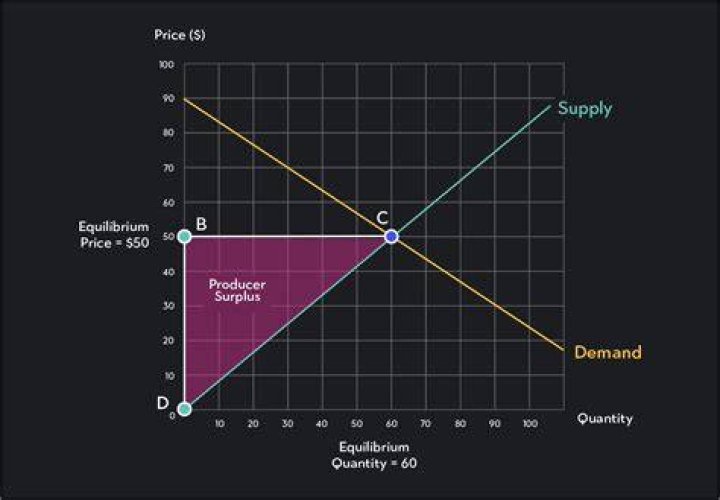 What type of economy is a consumer and a producer?