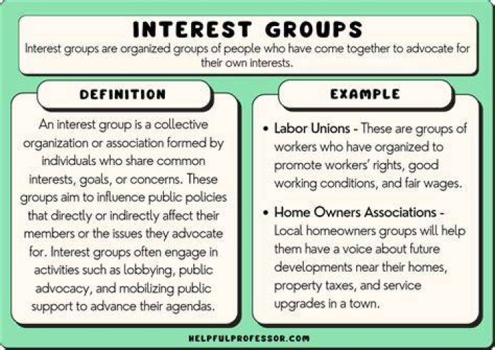 What type of interest group is the AFL CIO?