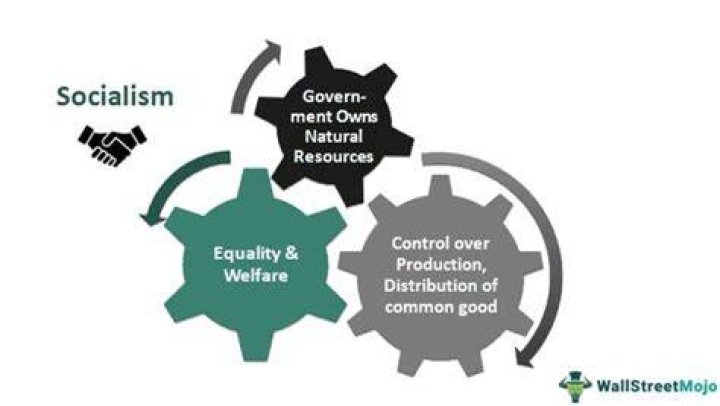What types of industries does a socialist government control?