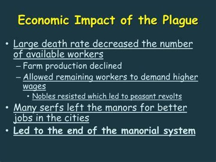 What were some economic effects of the plague?