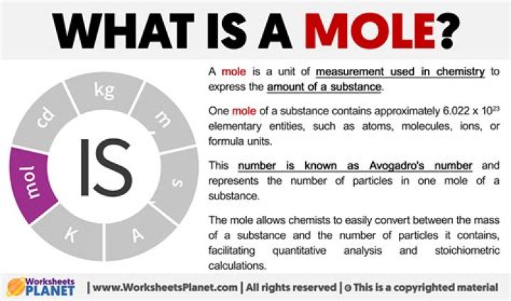 What words have the word mole in it?