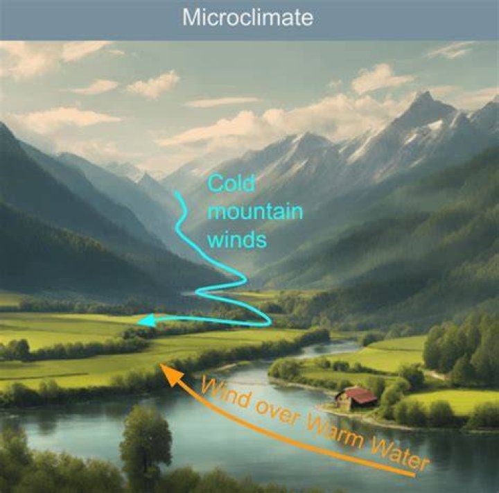 What would be an example of a microclimate?