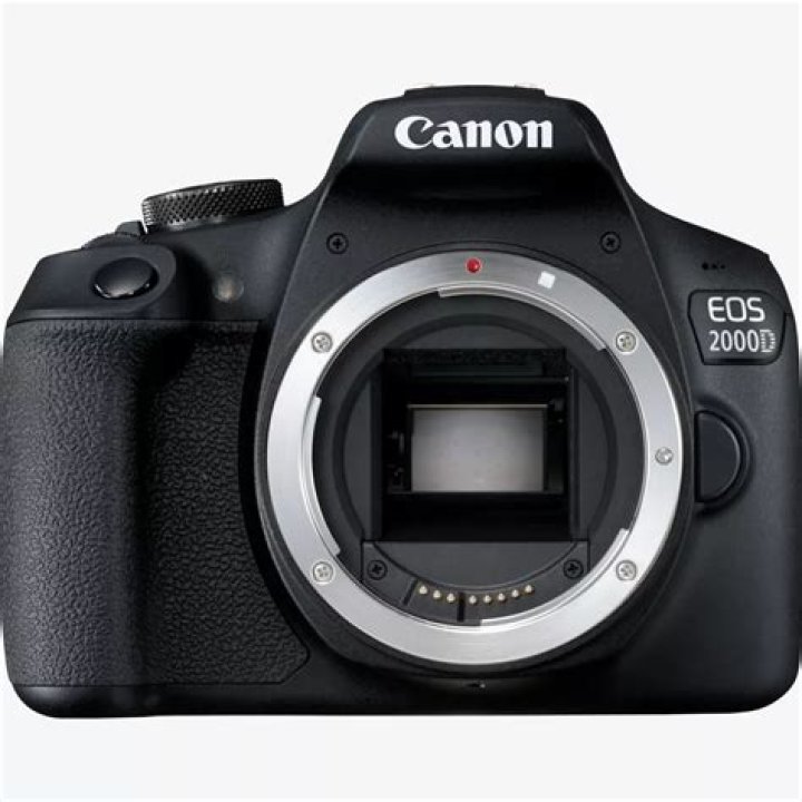 When did Canon Rebel 2000 come out?