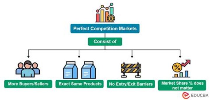 When one company controls the market for a certain product there is no competition?