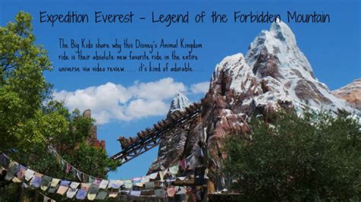 Where is Expedition Everest Legend of the forbidden mountain located?