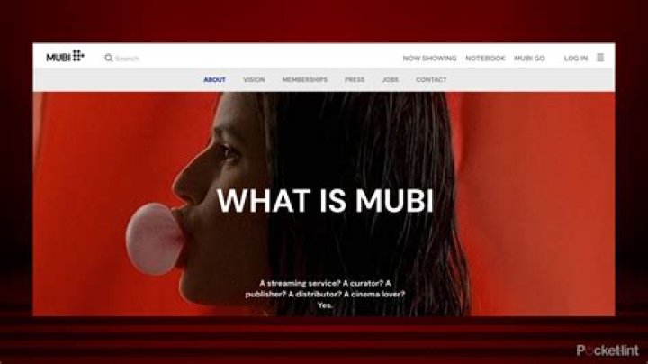 Where is Mubi Local Government?
