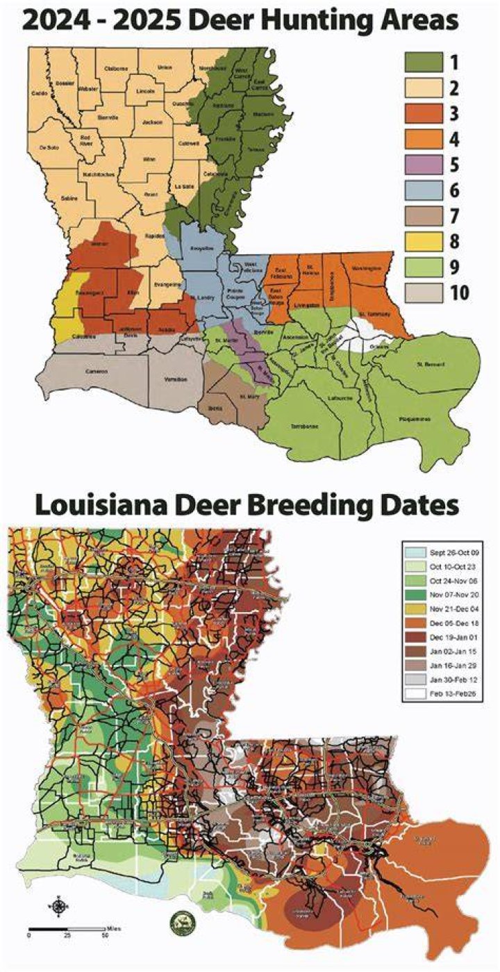 Where is the best deer hunting in Louisiana?