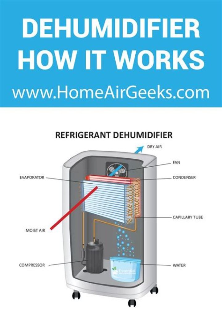 Where should dehumidifiers be placed?