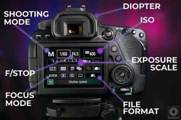 Which Canon DSLR is best for beginners?