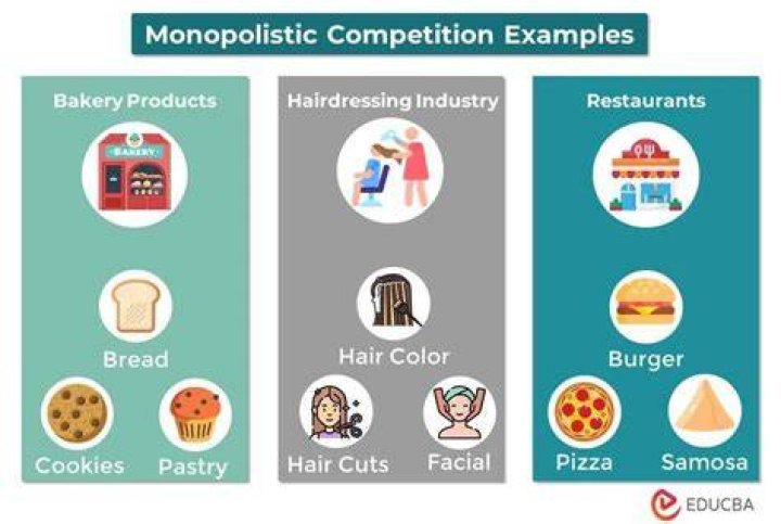 Which characteristics of businesses selling designer clothing are monopolistic which are competitive?