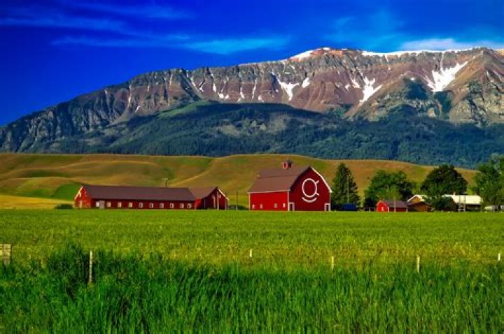 Which country farms the most?