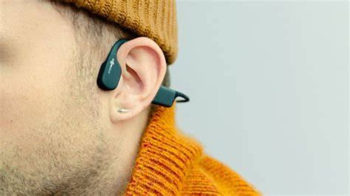Which earphones is best in low price?