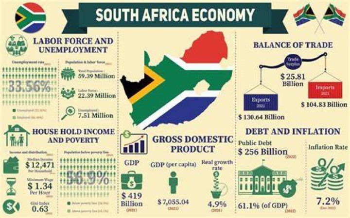 Which economic system does South Africa use and why?
