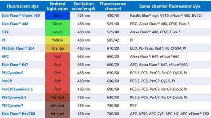 Which fluorescent dye can be used for red fluorescence?