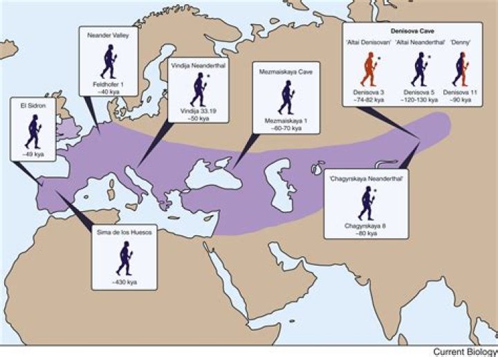 Which humans have most Neanderthal genes?