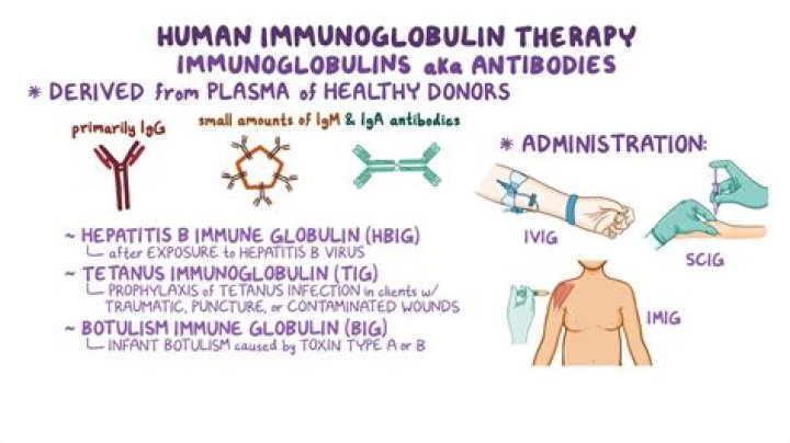 Which immunoglobulin has the longest half life?