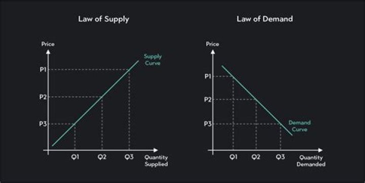 Which is more important demand or supply?