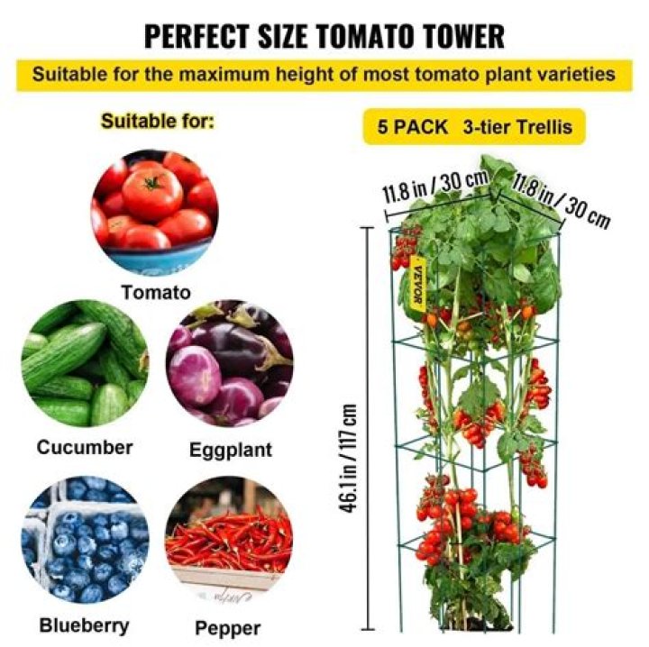 Which is the best quality tomato?