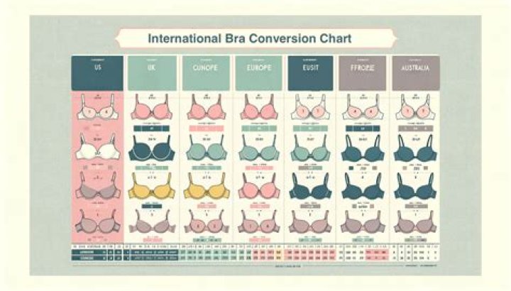 Which online site is best for bra?