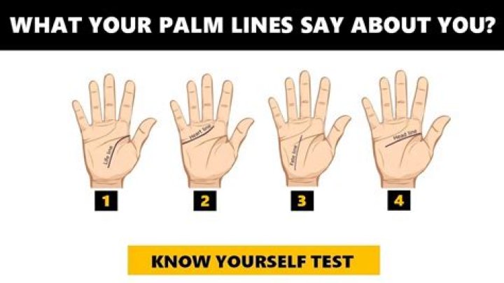 Which Palm line means love?