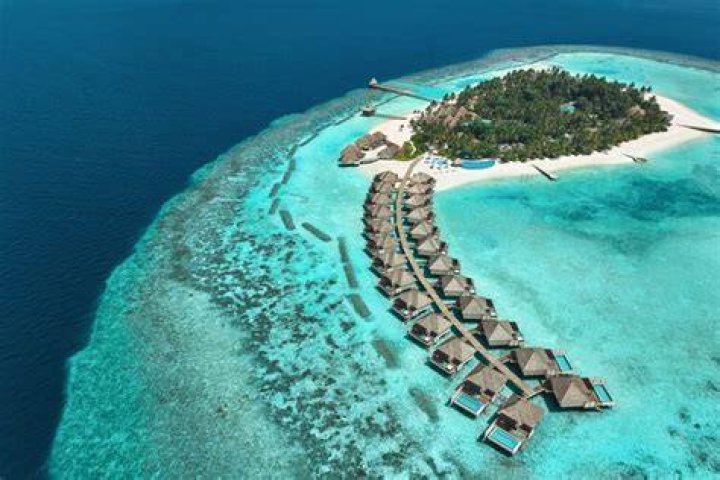 Which resort in Maldives has the best house reef?