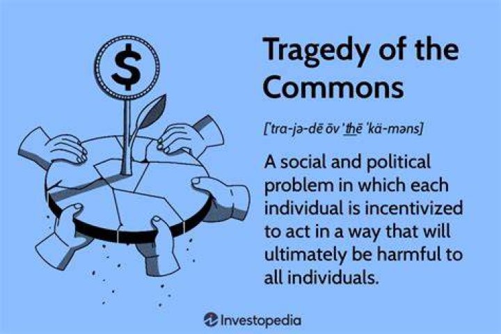Who coined the term poverty?