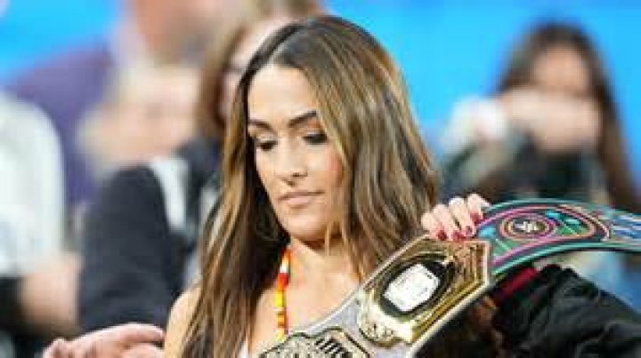 Who did Nikki Bella win the Divas Championship from?