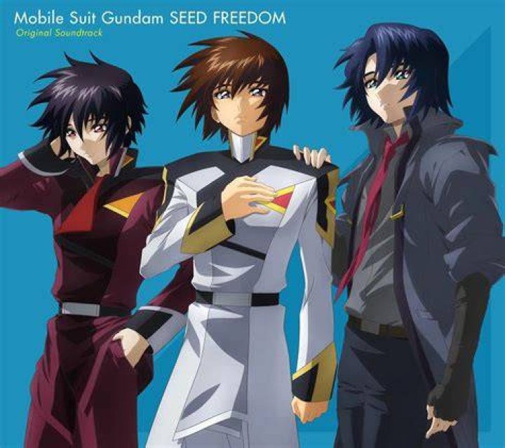 Who died in Gundam Seed?
