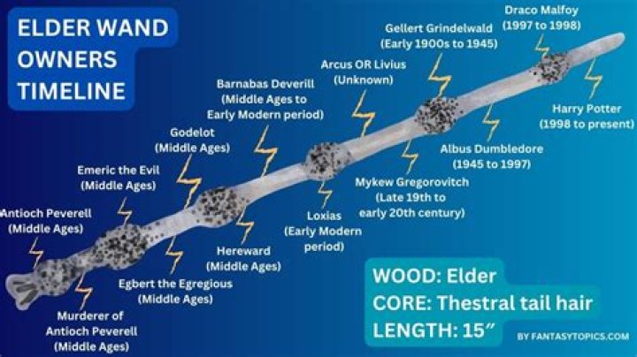 Who has ownership of the Elder Wand?