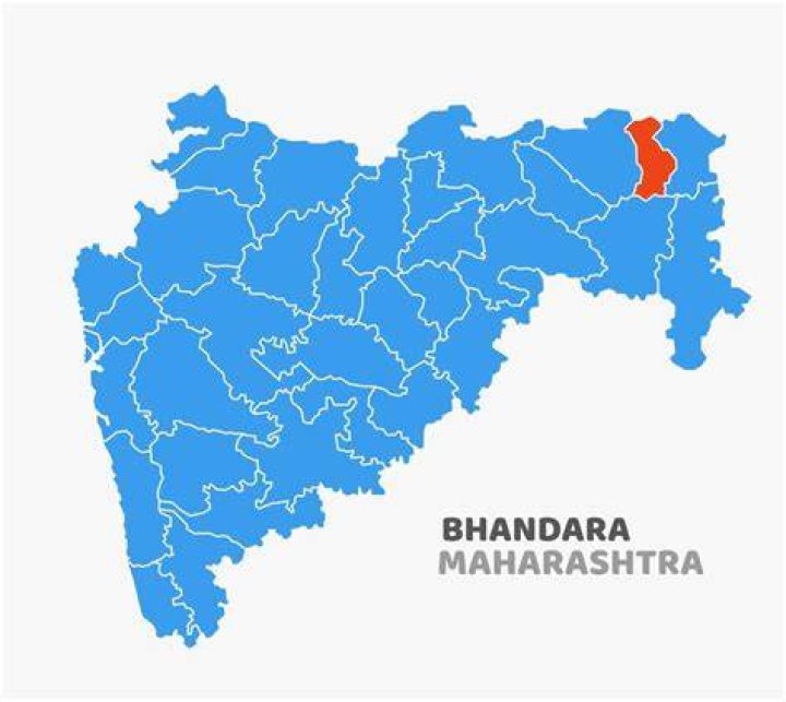 Who is collector of Bhandara?