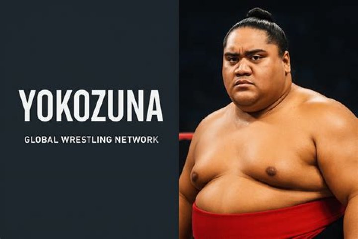 Who is the current yokozuna in sumo?