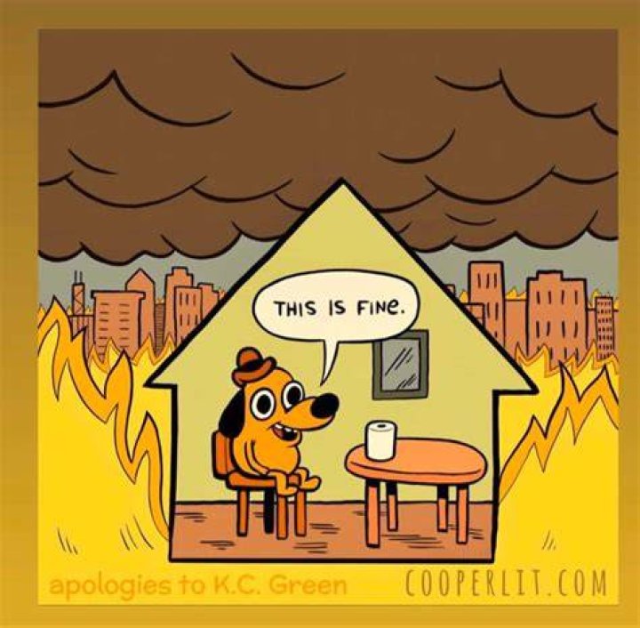 Who is the dog in this is fine?