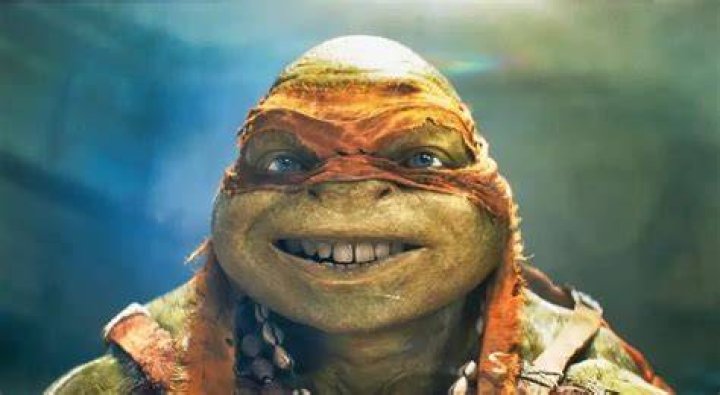Who is the Green Ninja turtle?