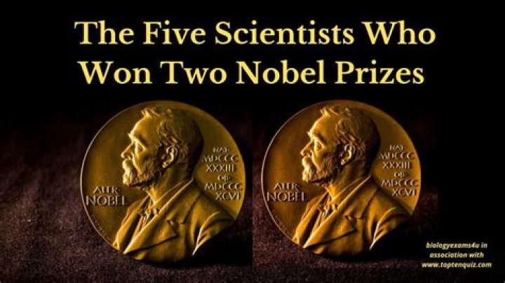 Who Organised Nobel?