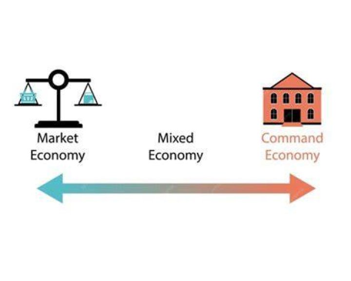 Who owns the resources in a mixed economy?